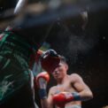 Combat turelli boxe
