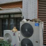 Cats relax on top of air conditioning units.